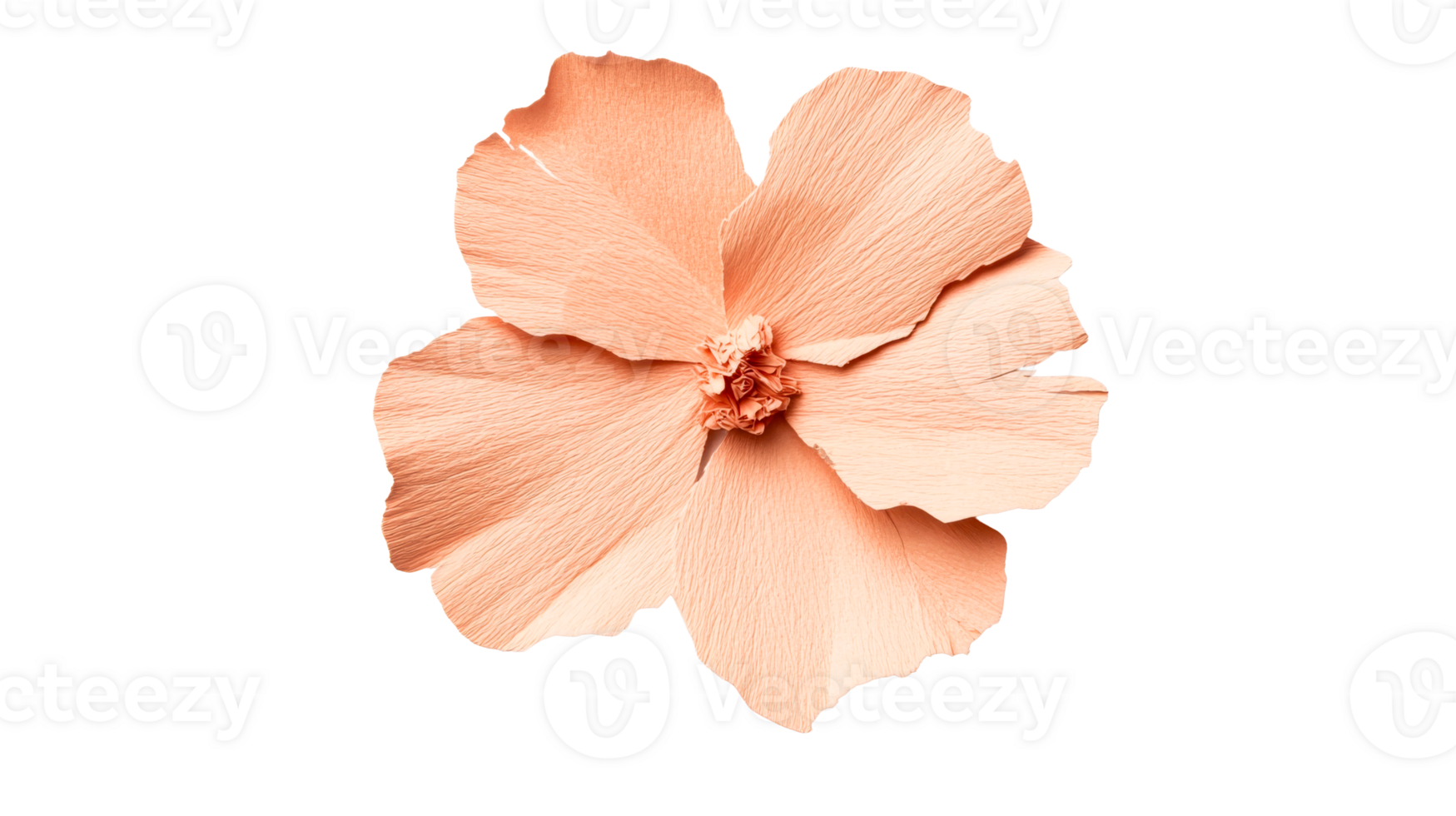Peach crepe paper flower with visible texture, cut out transparent png