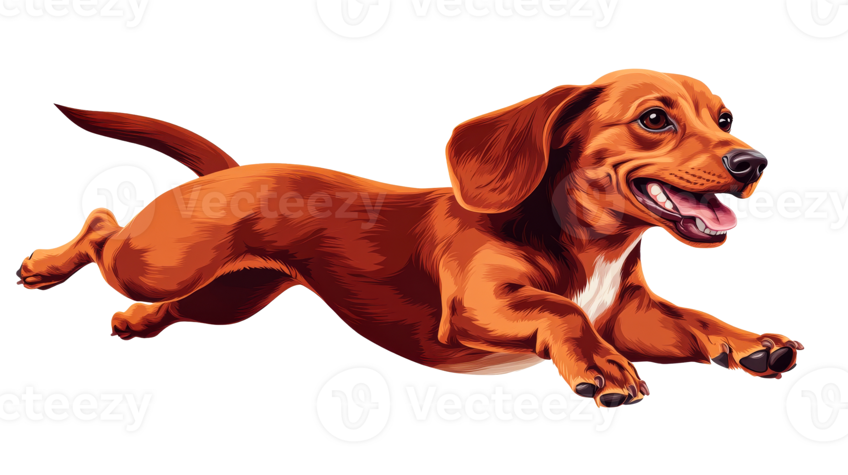 Running Dachshund with Orange Fur and Happy Expression, cut out transparent png