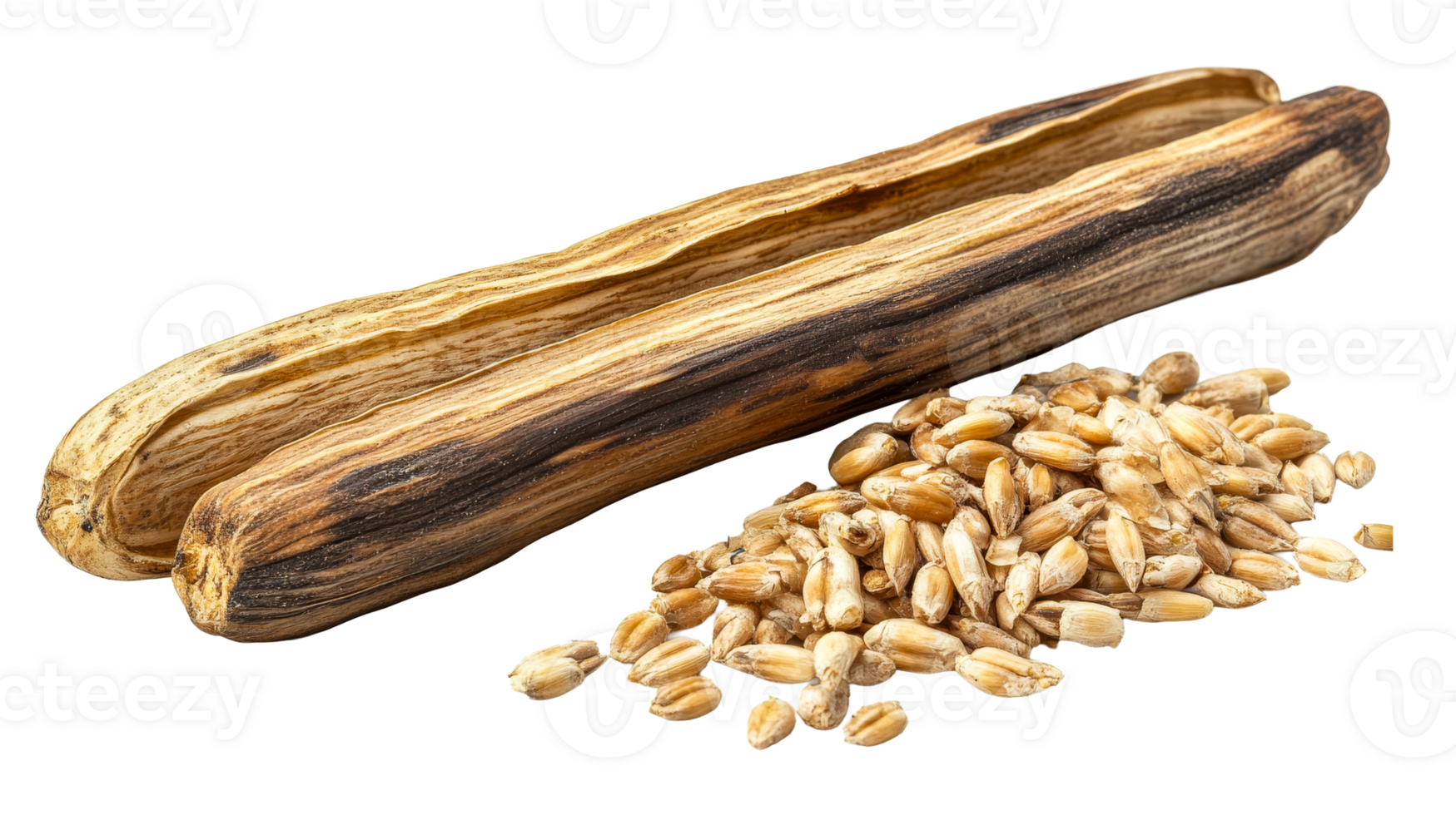 Husk and seeds, dry pod of a plant, transparent cut out png