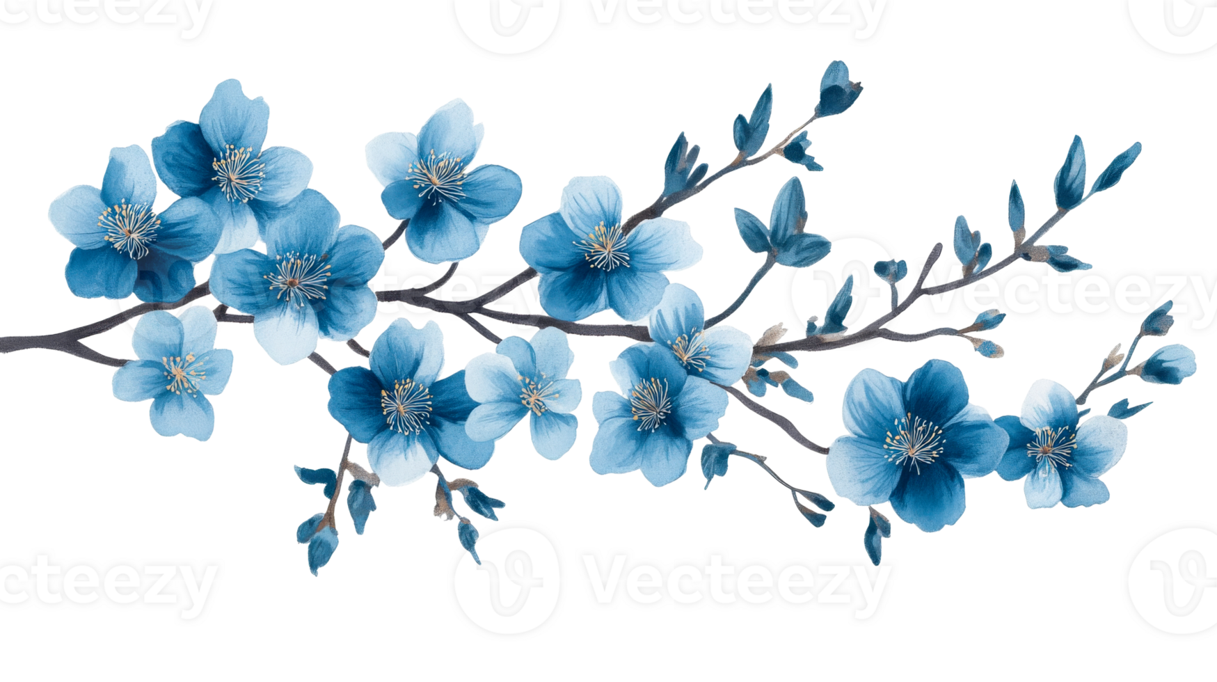 Watercolor blue flowers branch isolated on black background, cut out transparent png