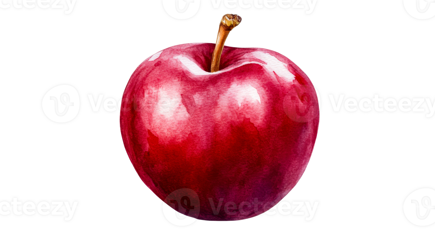 Watercolor illustration of red apple with stem, isolated, cut out transparent png