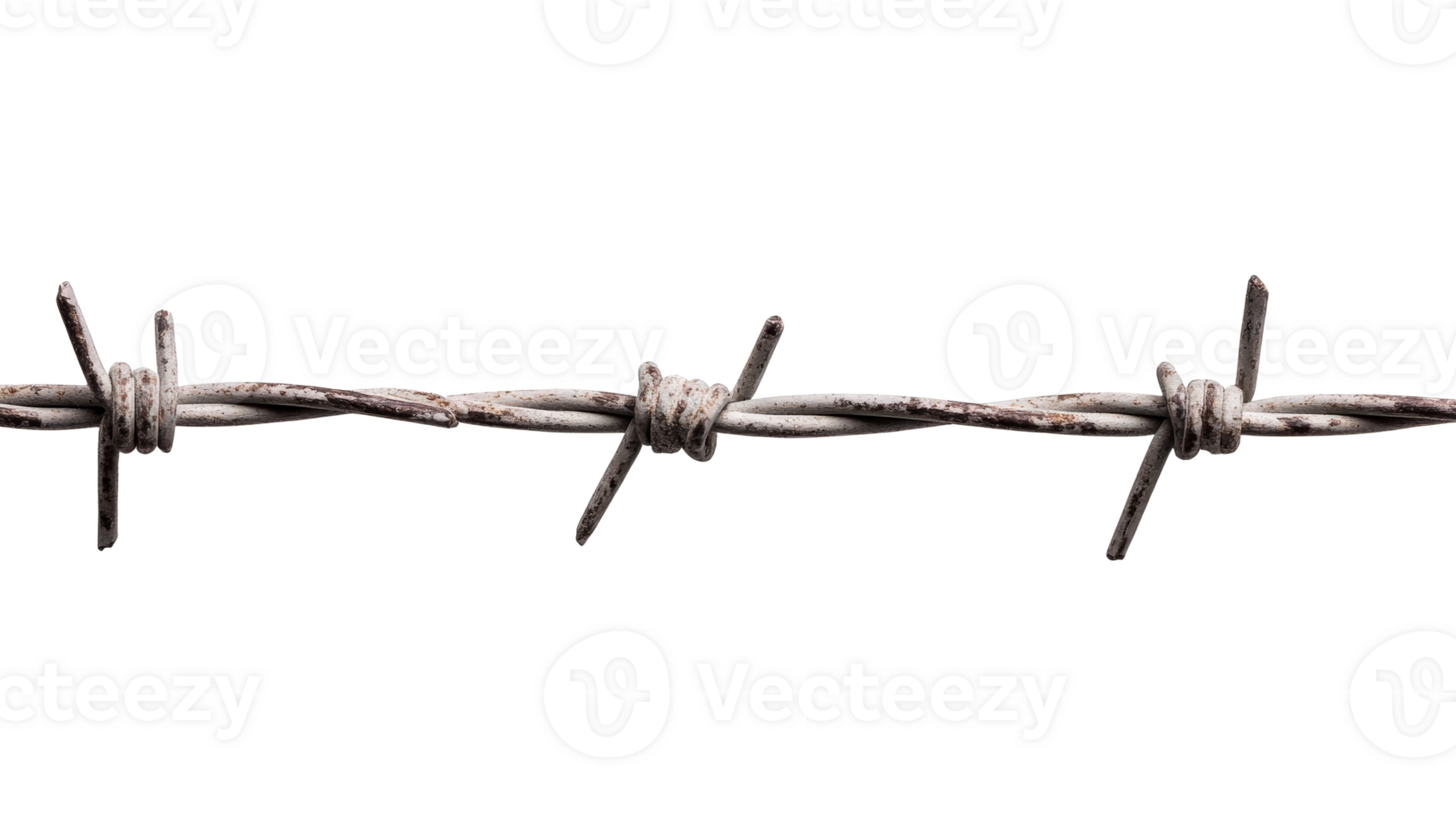 Barbwire fence line on black, detailed security design, cut out transparent png