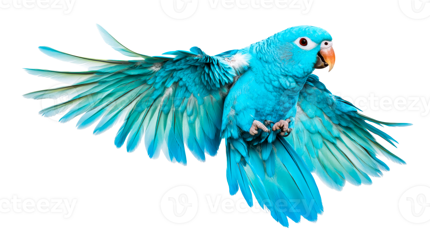 Captivating azure parrot flapping wings on black background, cut out transparent png