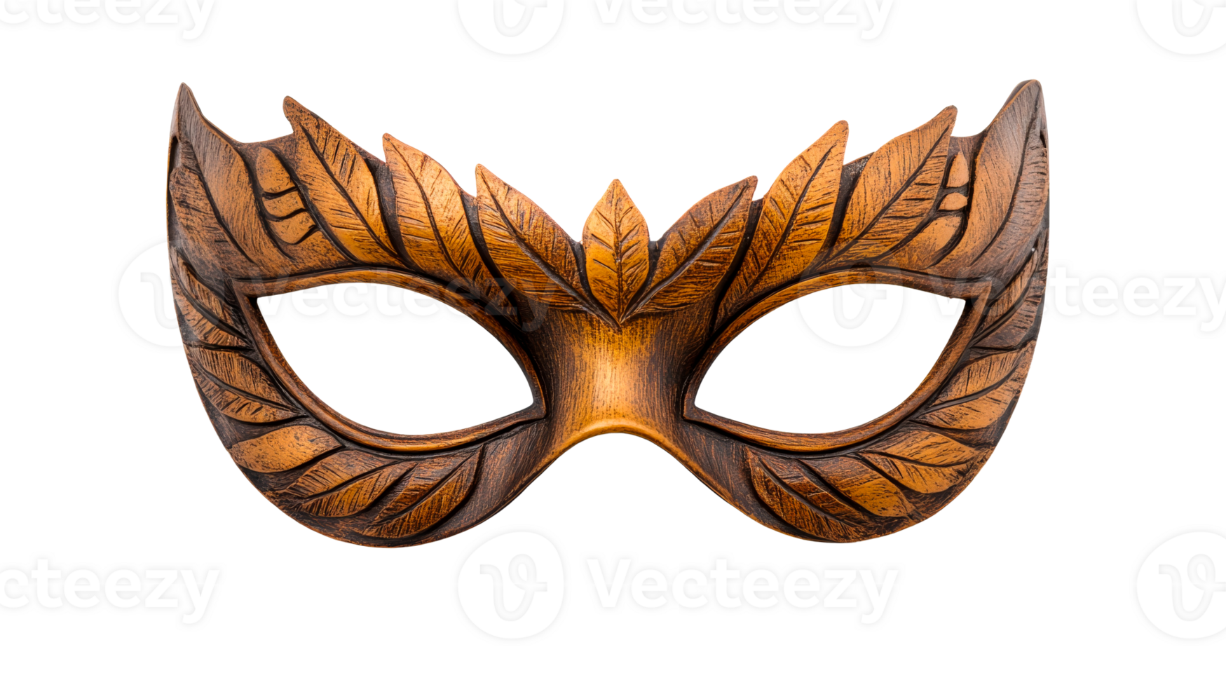 Masquerade Mask with Leaf Pattern on Black Background, cut out transparent png