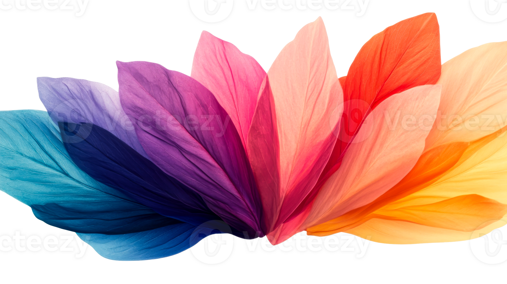 Spectrum of colorful leaves on a black backdrop, cut out transparent png