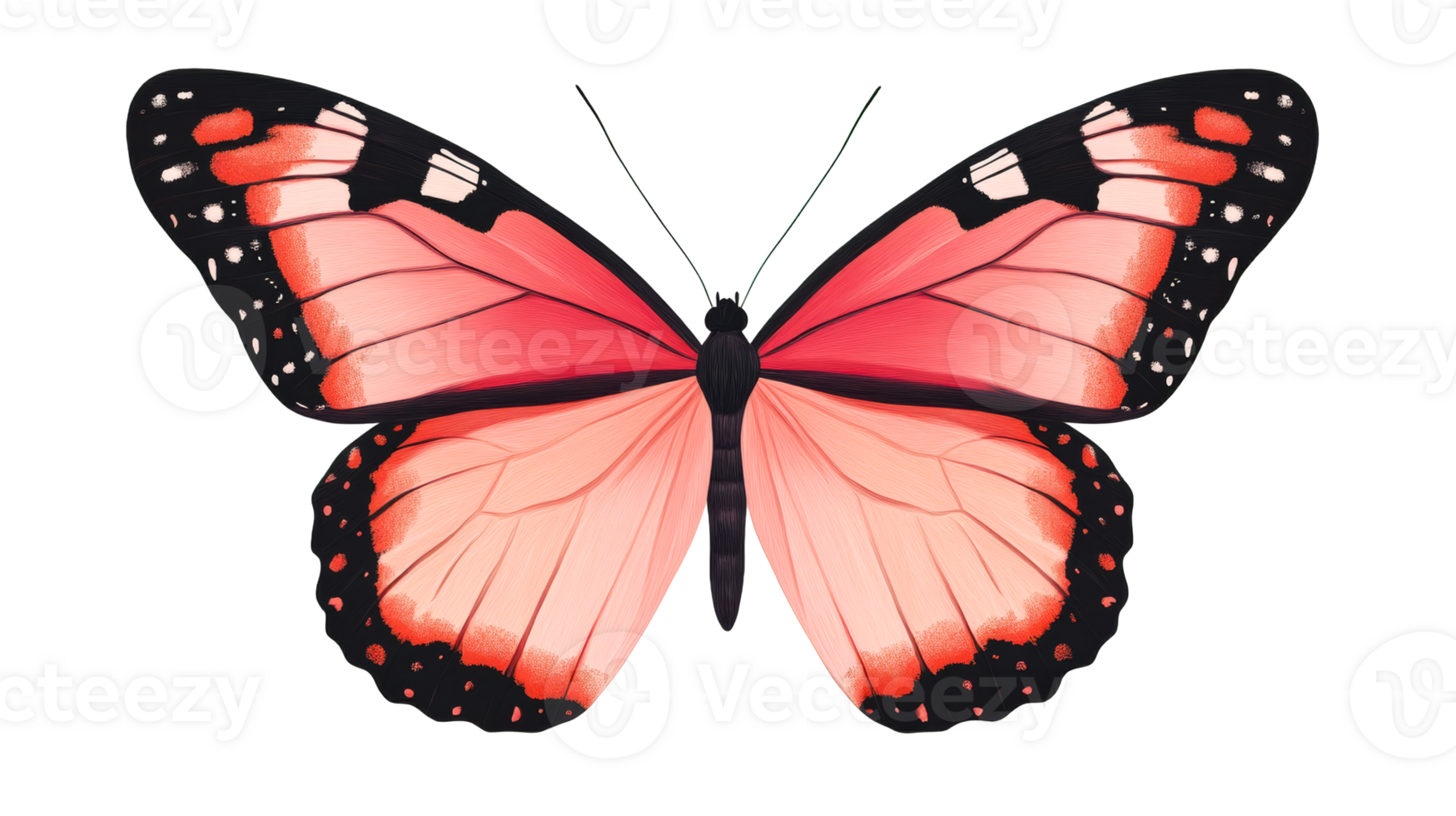 Red butterfly, detailed wings, black spots, elegant design, isolated element, cut out transparent png