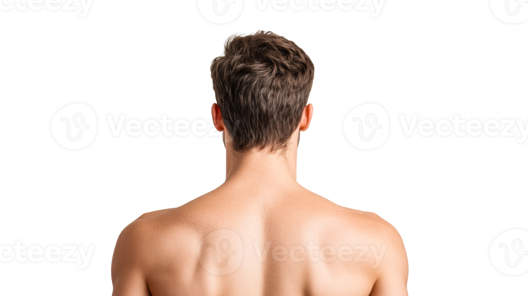 Back view of a muscular shirtless man with brown hair, cut out transparent png