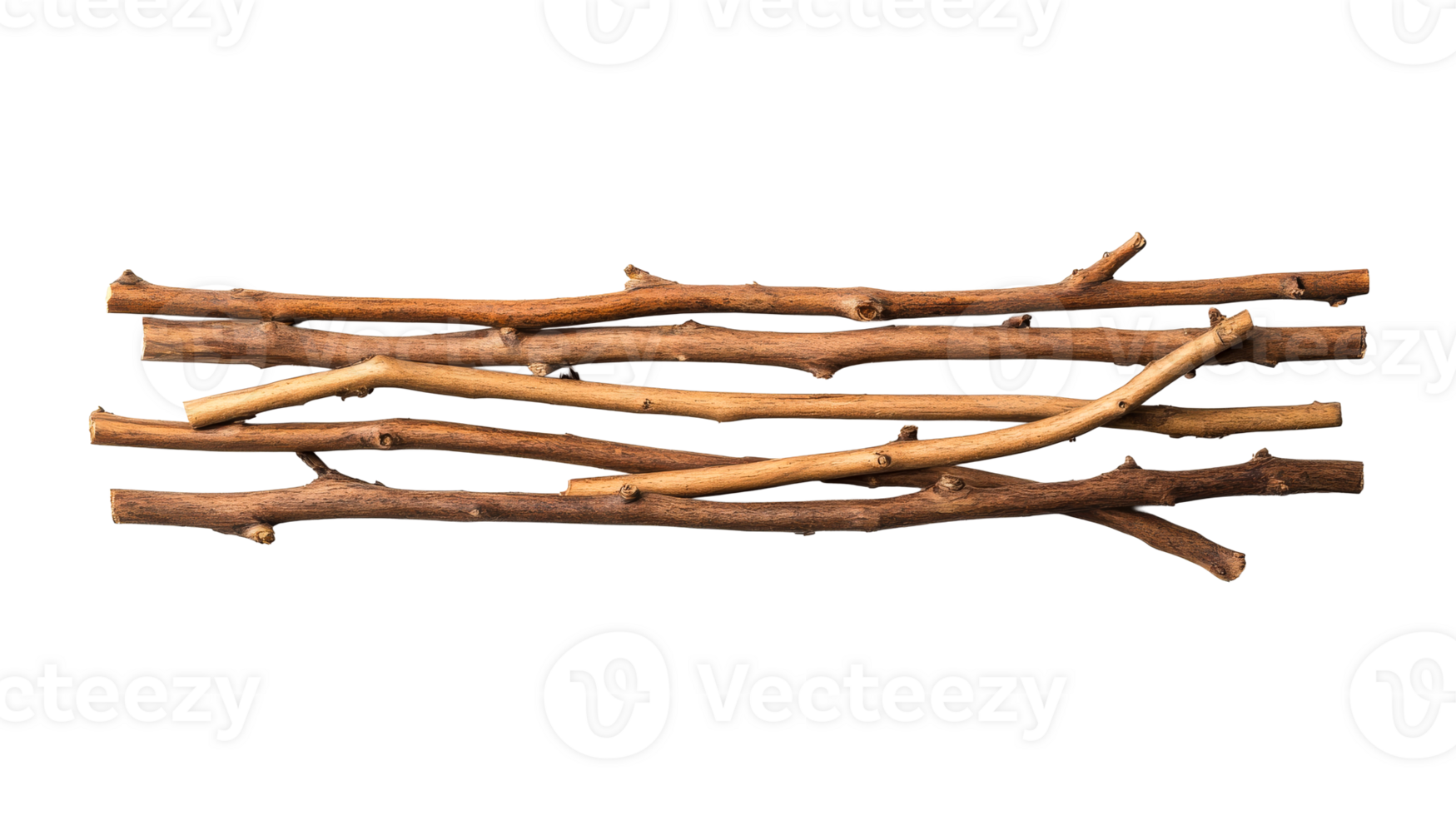 Dry wood twigs isolated on black background, cut out transparent png