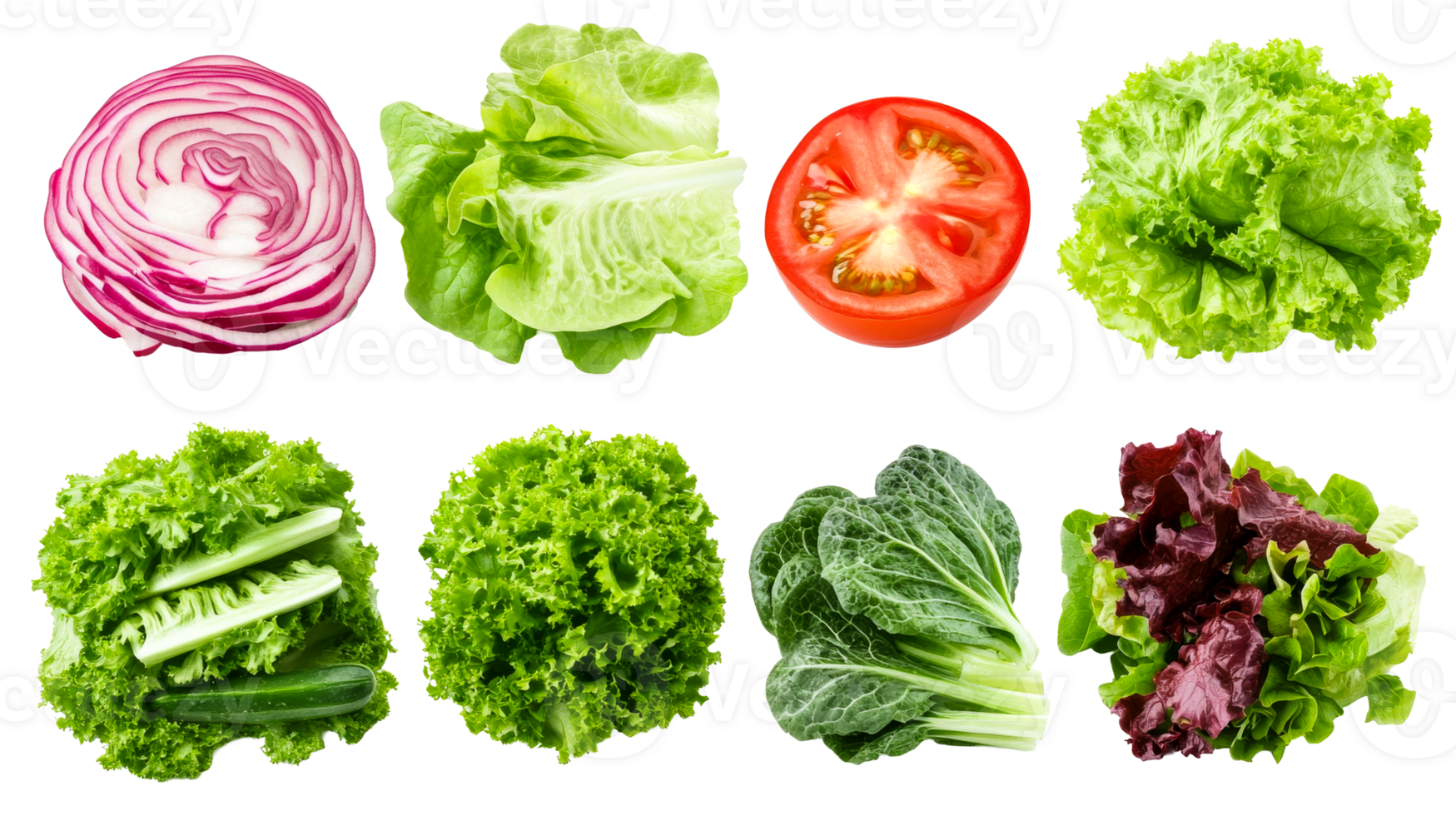 Salad ingredients still life with onion, lettuce, tomato, cut out transparent png