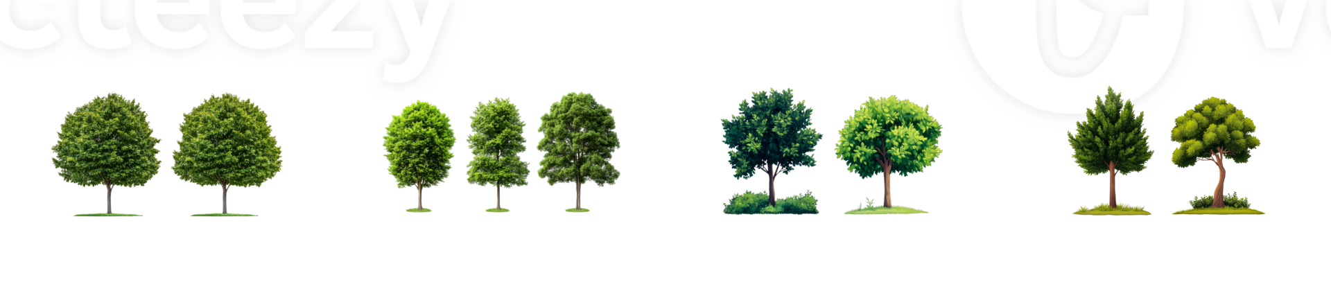 Variety of foliage arrangements on black background, cut out transparent png