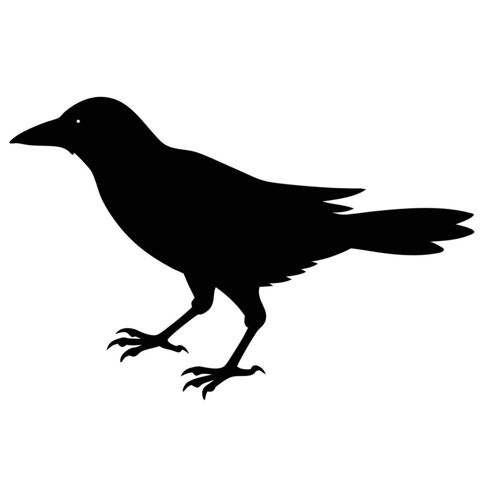 Standing Crow Clipart for Mystery, Gothic and Nature Projects vector