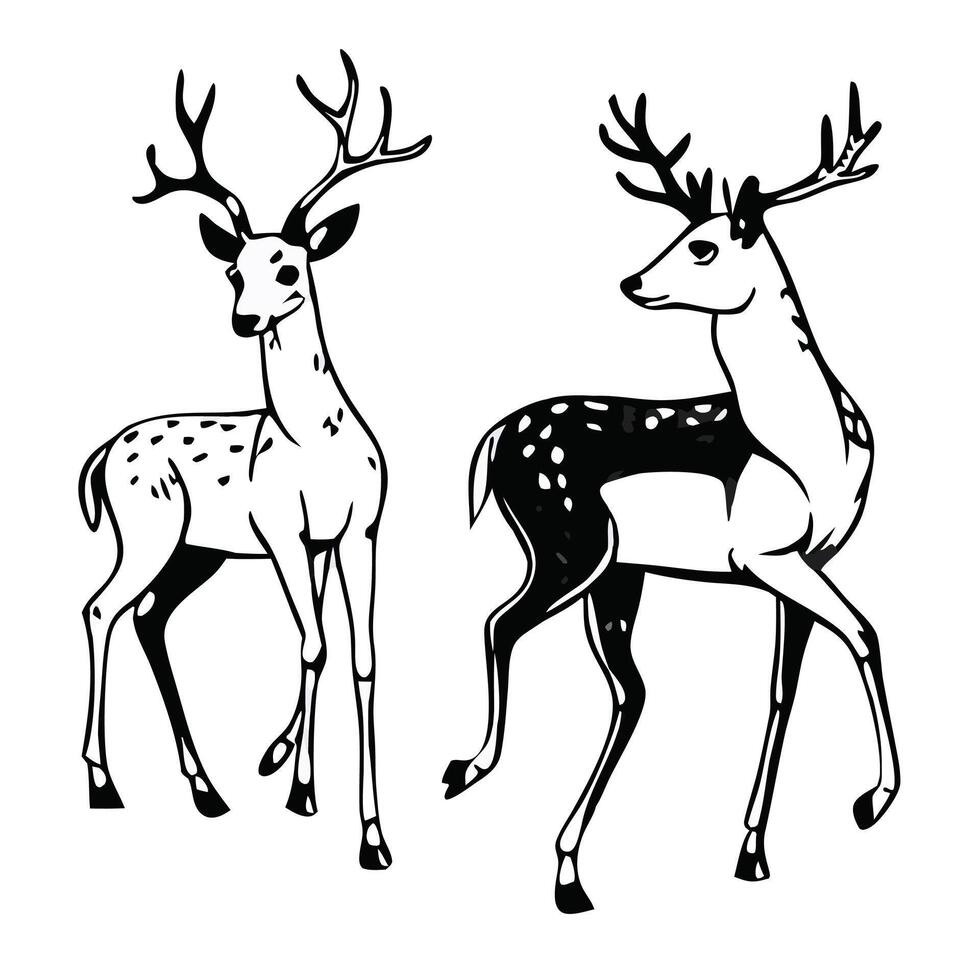 Two Spotted Deer Illustrations In Black And White Minimalist Style vector
