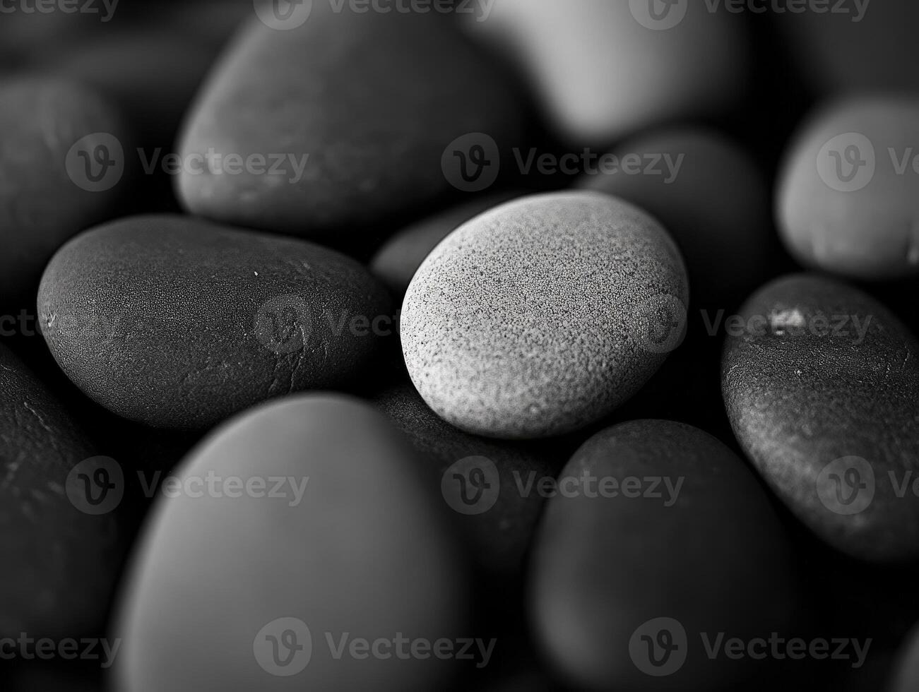 Smooth dark stones piled together with one uniquely lighter pebble centered, showcasing a variety of textures and intricate patterns in close-up, creating a serene, natural composition photo