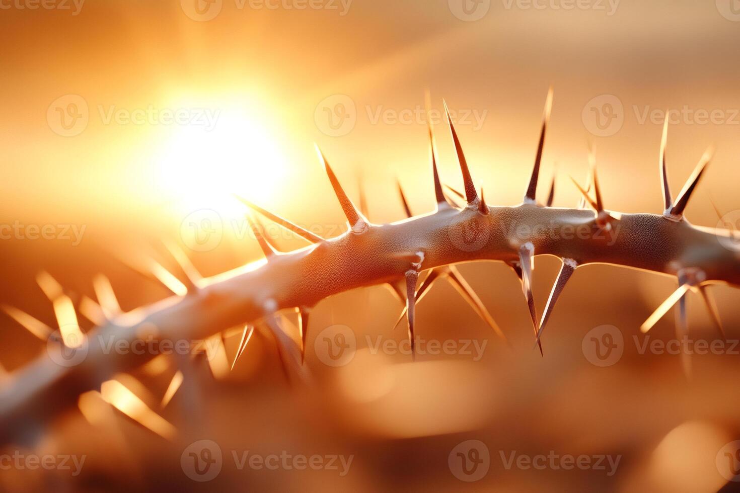 Crown of thorns representing Jesus Christ suffering backlit by setting sun photo