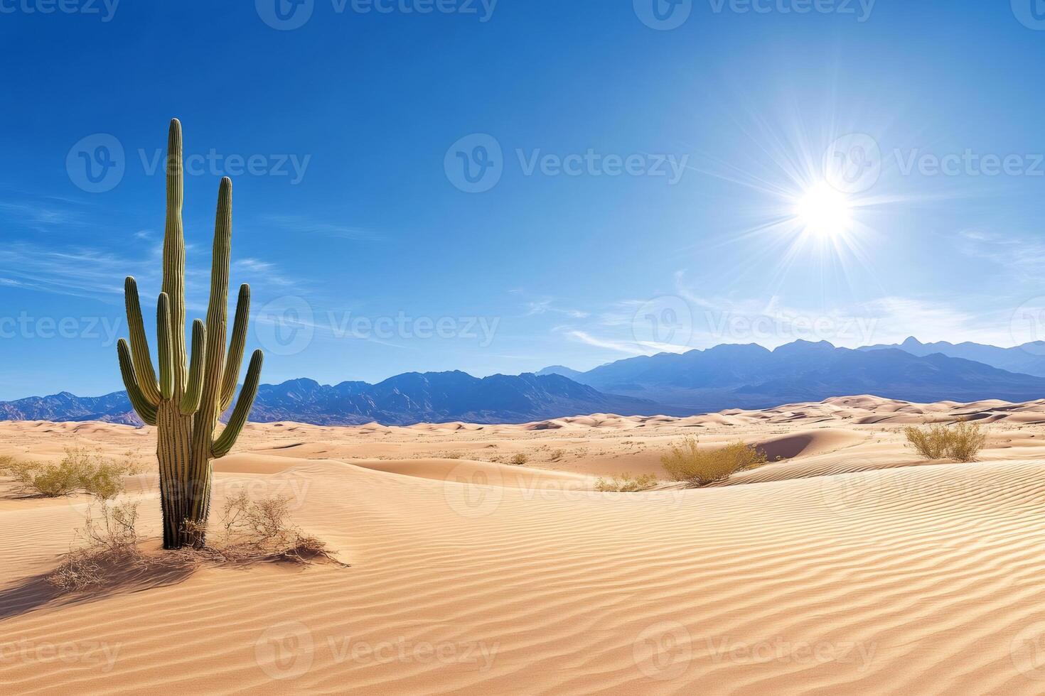 Saguaro cactus standing in Death Valley desert landscape under scorching sun photo