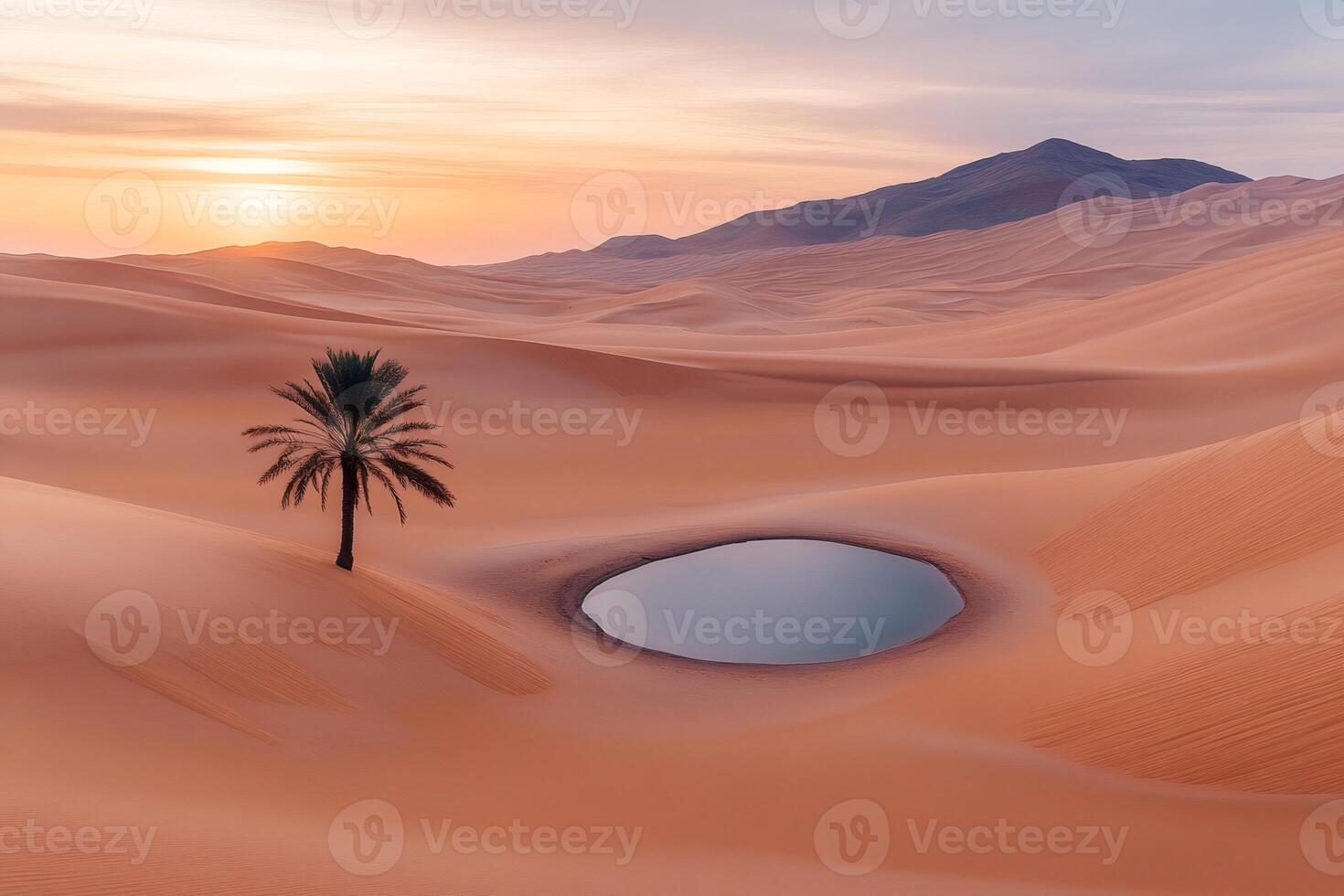 Lonely palm tree growing near small oasis in desert at sunrise photo