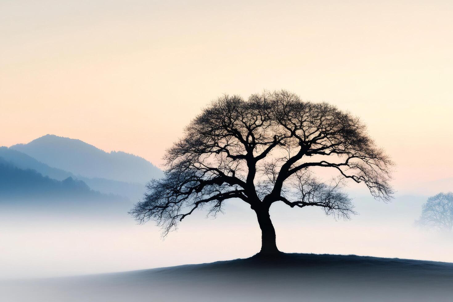 Lonely tree silhouette standing on a hill at sunrise with fog covering the valley photo