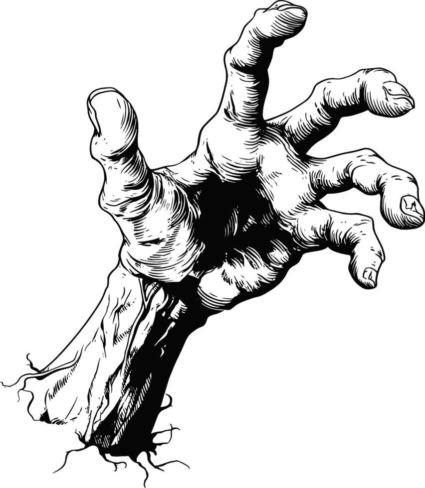 A detailed black and white illustration in a sketch or engraving style of a decaying, skeletal hand reaching upwards from the ground. vector