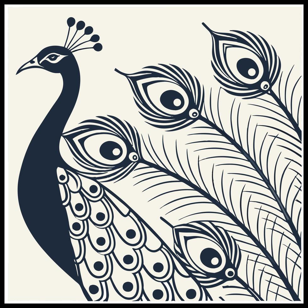a black and white peacock with feathers on its back vector