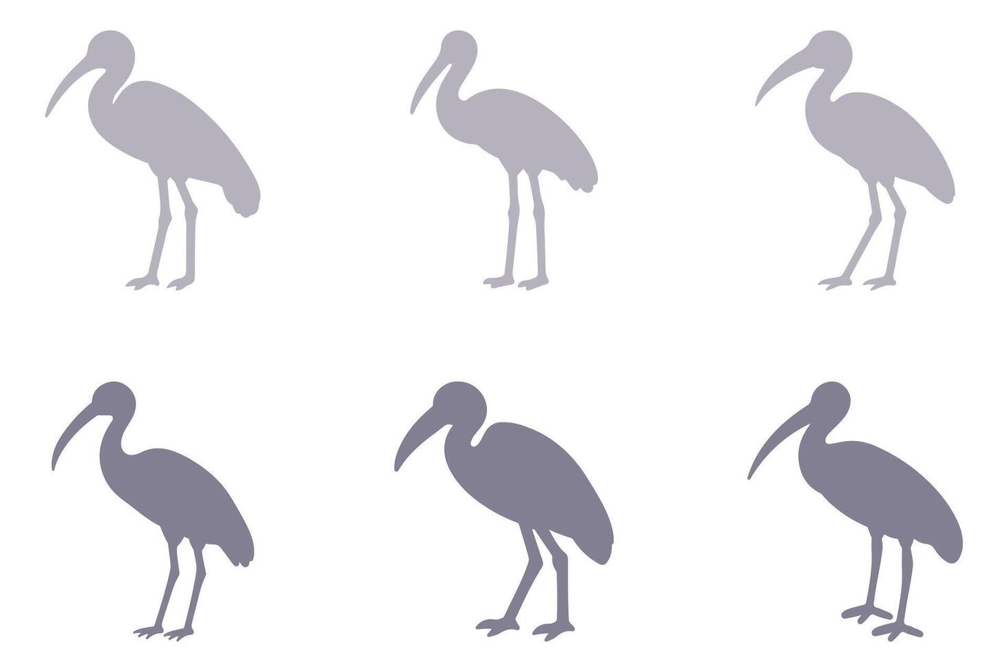 Ibis Silhouette Animal Icon Set vector