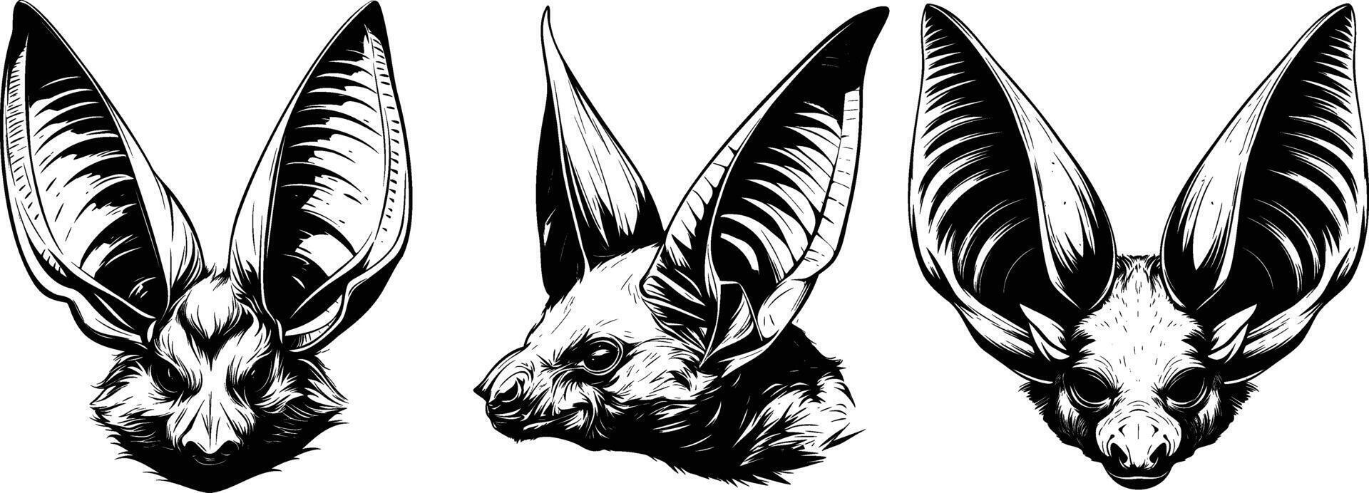 Various Bat Head Illustrations in Detailed Hand Drawn Illustration vector