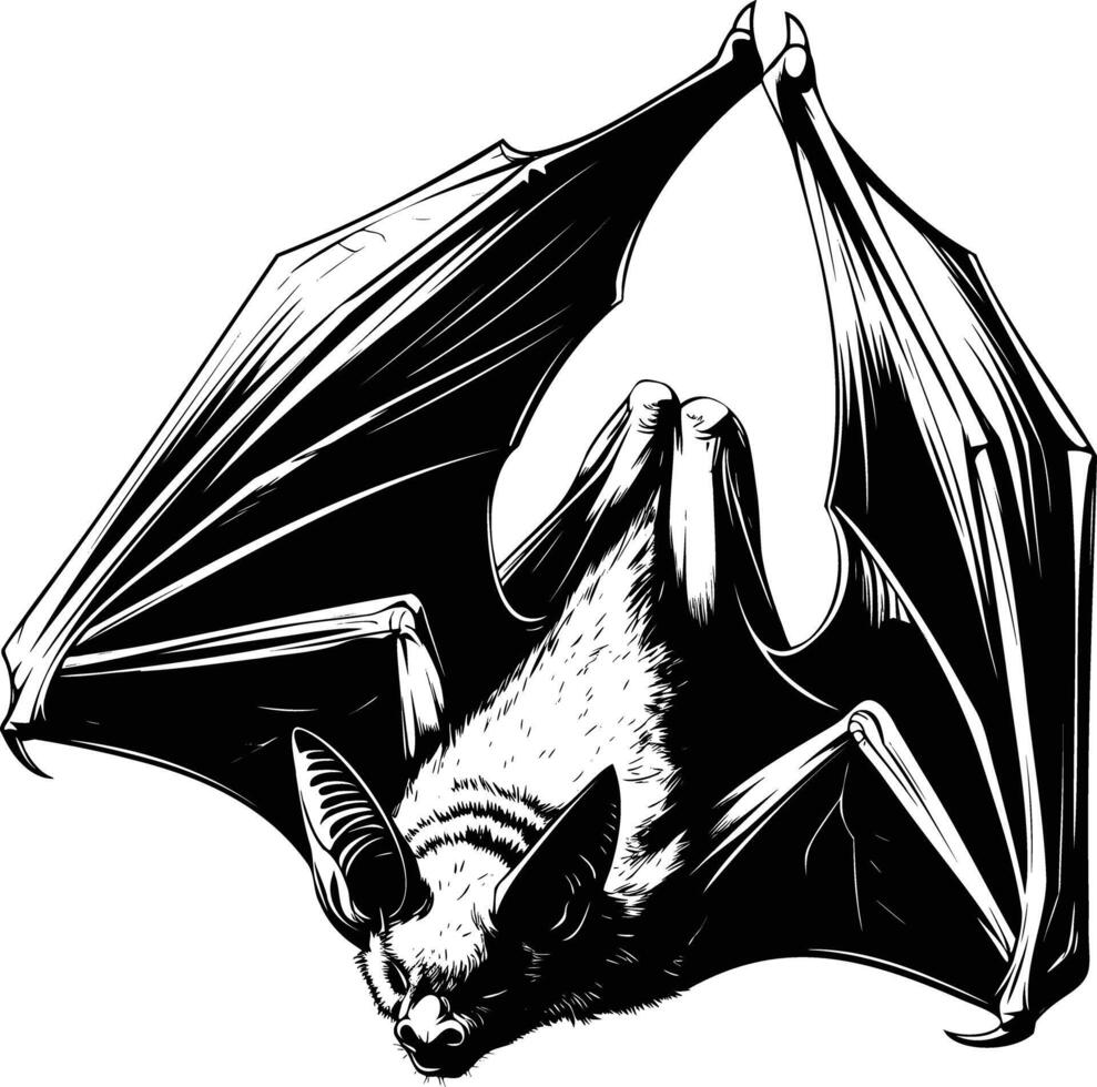 Bat Hanging from Tree in Detailed Hand Drawn Illustration vector