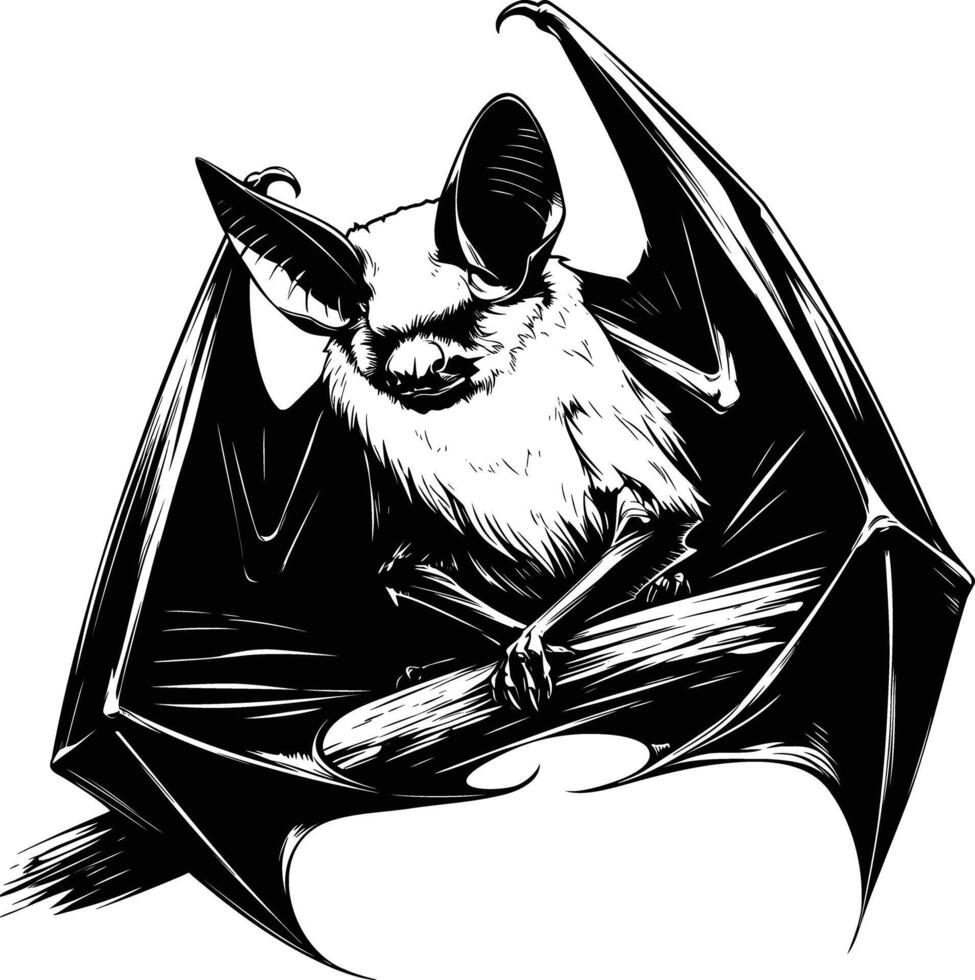 Perching Bat on Branch in Detailed Hand Drawn Illustration vector