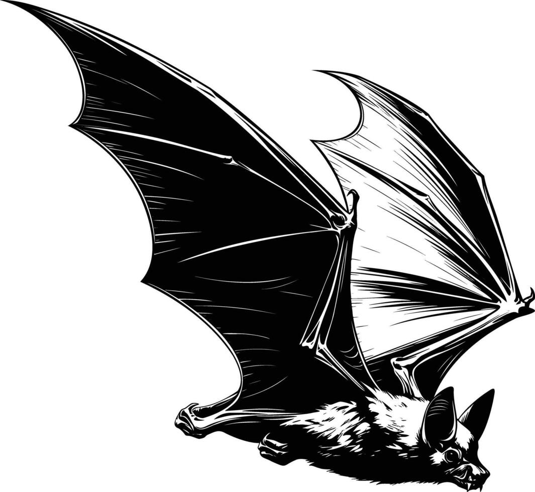 Flying Bat with Curved Wings in Detailed Hand Drawn Illustration vector