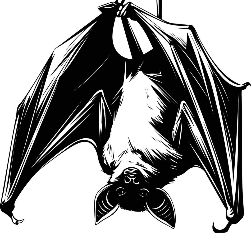 Upside Down Bat with Spread Wings in Black and White Hand Drawn Illustration vector