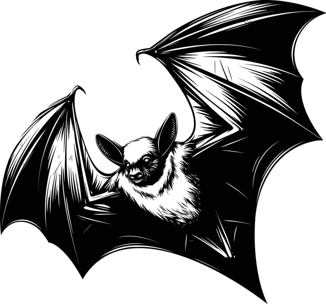 Bat in Mid Flight in Detailed Hand Drawn Illustration vector