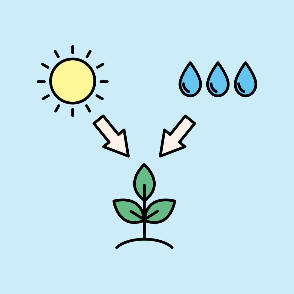 photosythesis with the help of sun and rain as a source of water vector