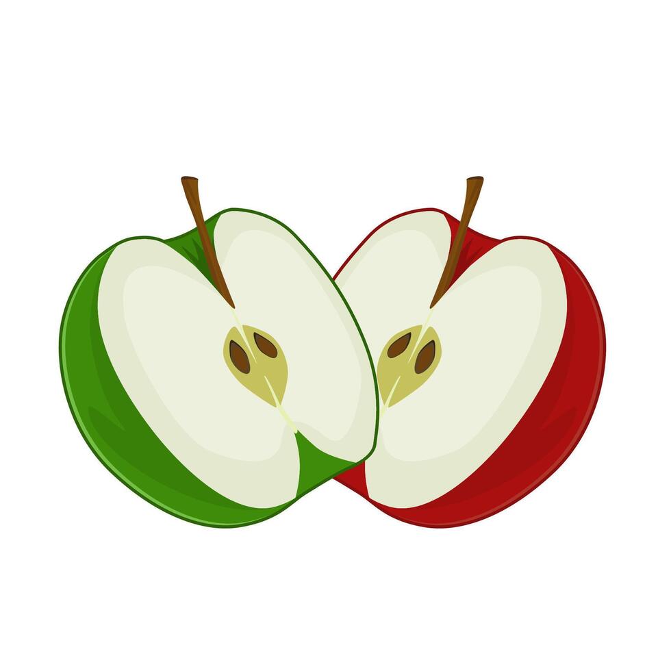 Apple Fruit red and green vector