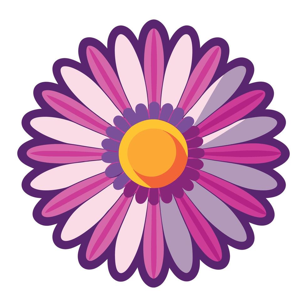 Aster flower isolated on white September vector