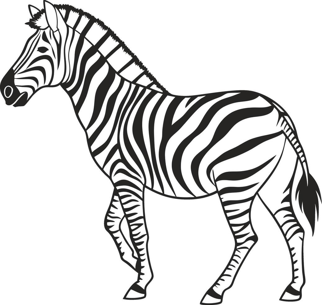 Black and White Zebra Illustration in Side Profile vector