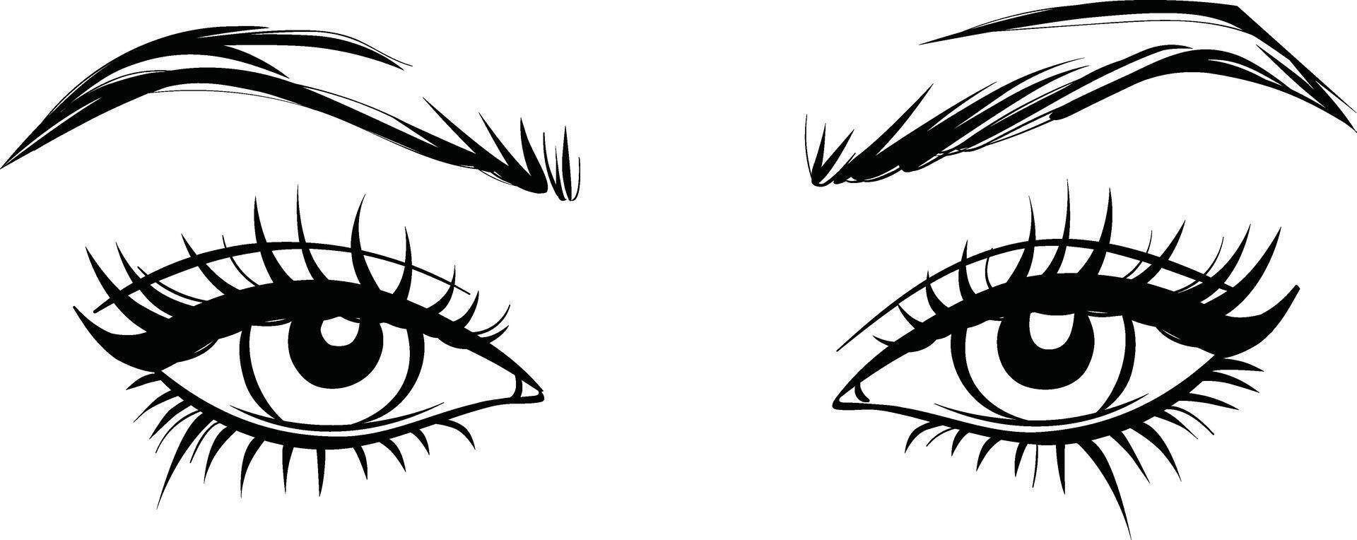 a drawing of a woman's eyes vector