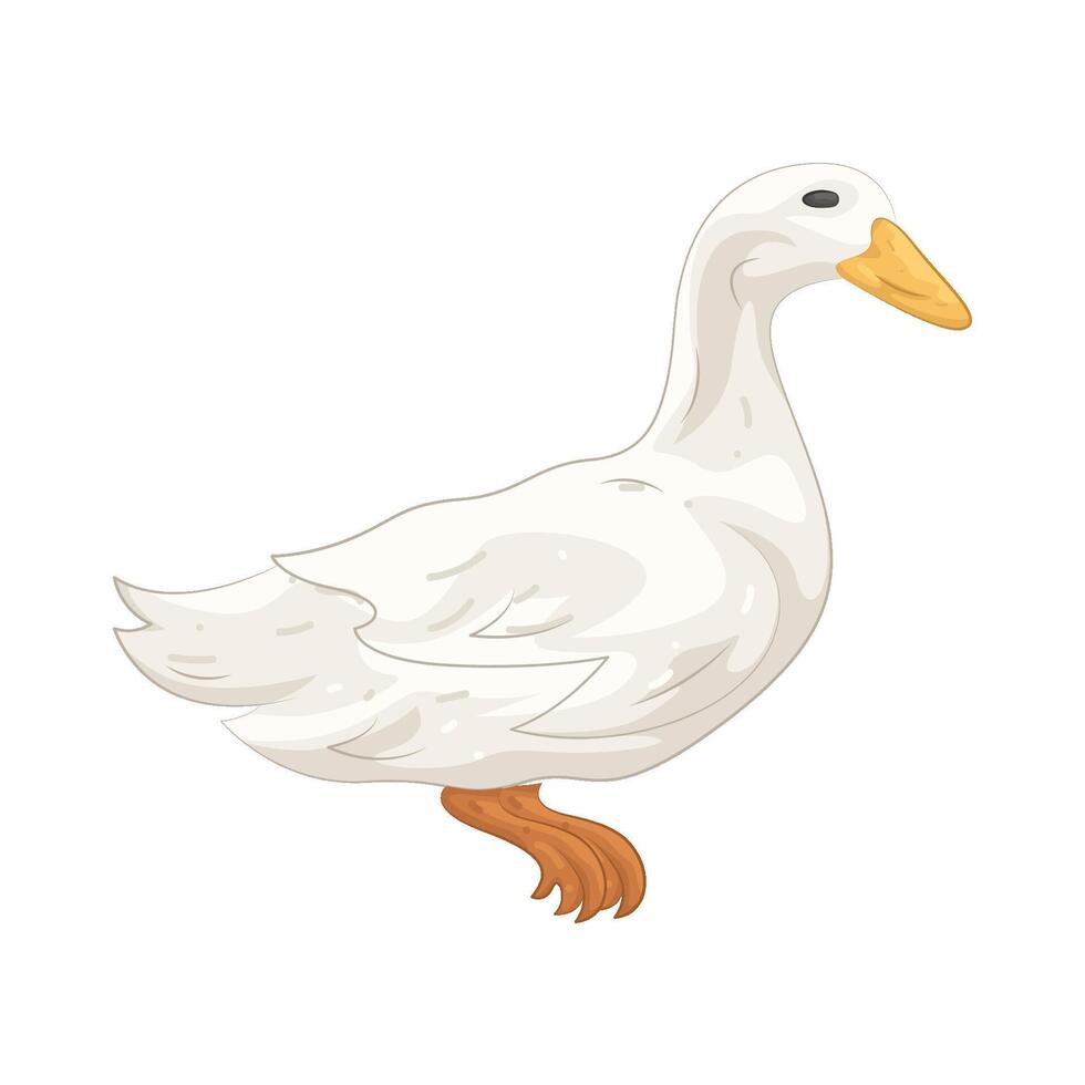 Illustration of duck vector
