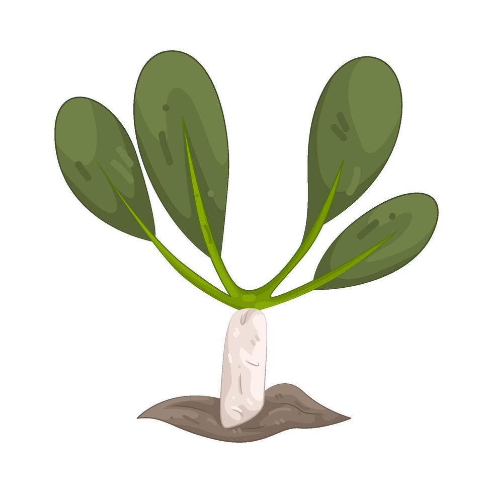 Illustration of sprout vector