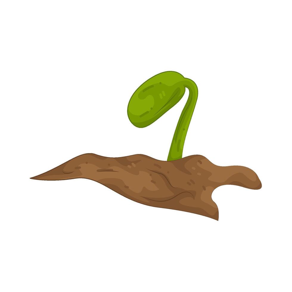 Illustration of a Seedling vector