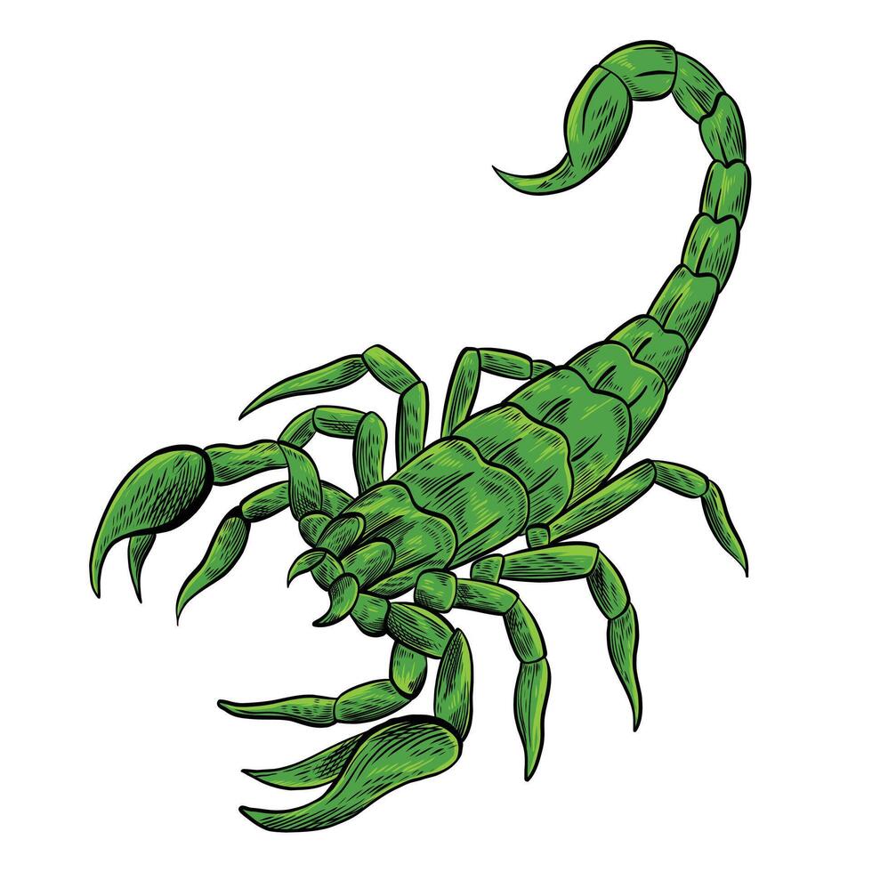 Green venomous animal design vector