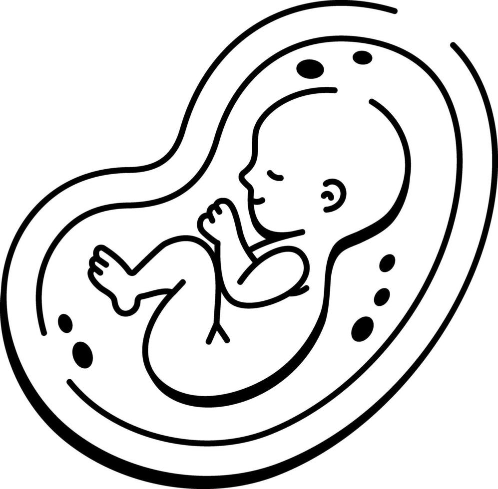 A hand drawn style icon of an embryo vector