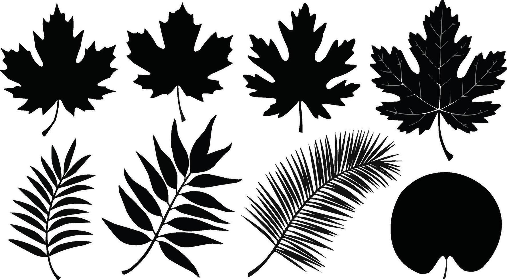 silhouettes of leaves and black touch vector