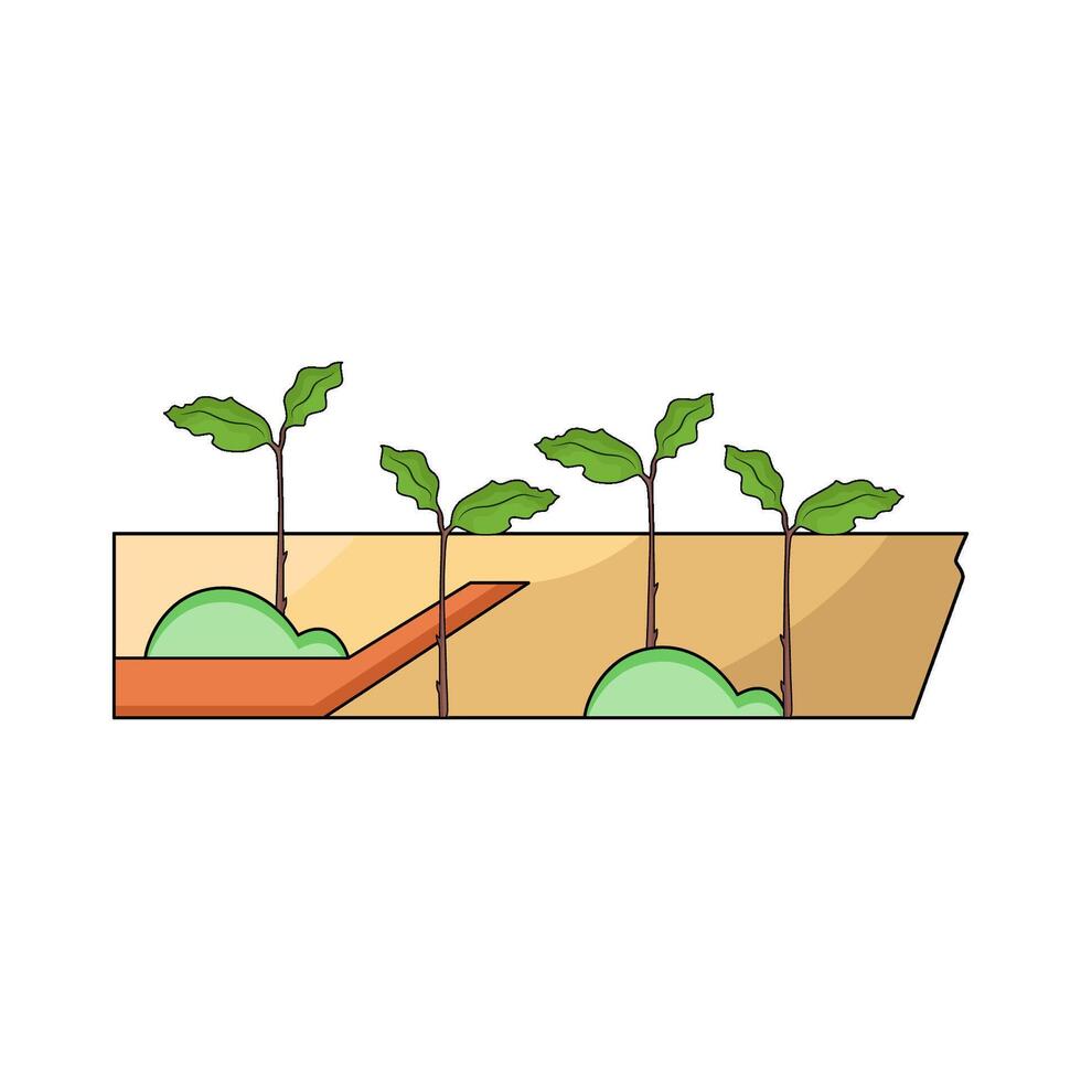 illustration of Seedling vector