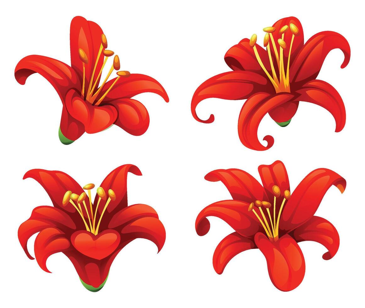 Set of red lilies with curled petals and soft shading for design use. Cartoon illustration vector