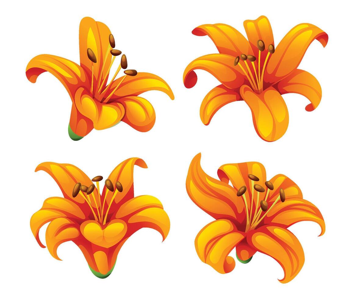 Set of stylized orange lily blossoms with expressive petal shapes. Cartoon illustration vector