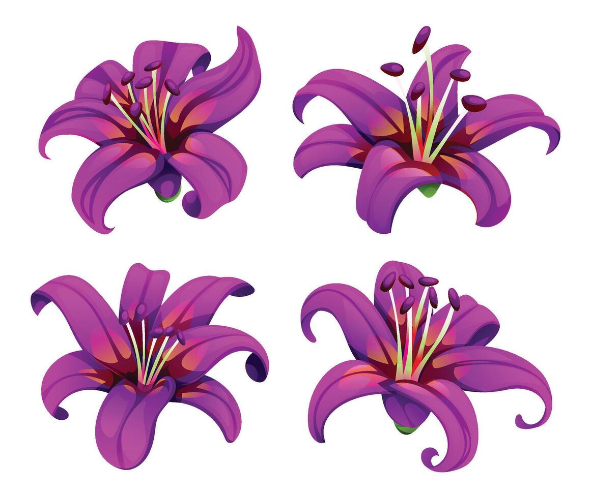 Set of purple lilies with curling petals and artistic gradients. Cartoon illustration vector