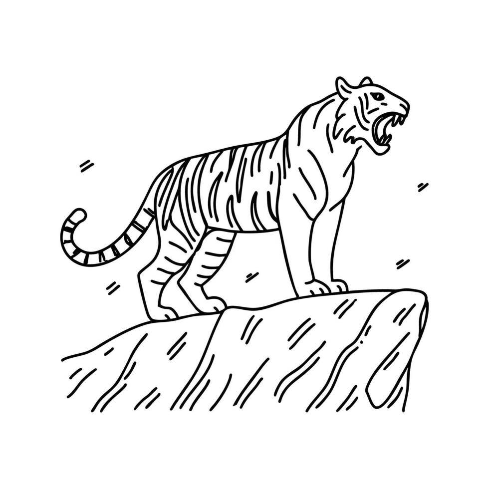 Tiger roaring at the edge of a rocky cliff, its powerful stance evident vector