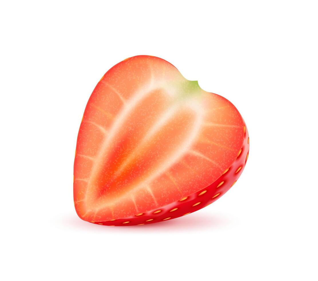 3D realistic strawberry ripe raw fruit ripe half vector