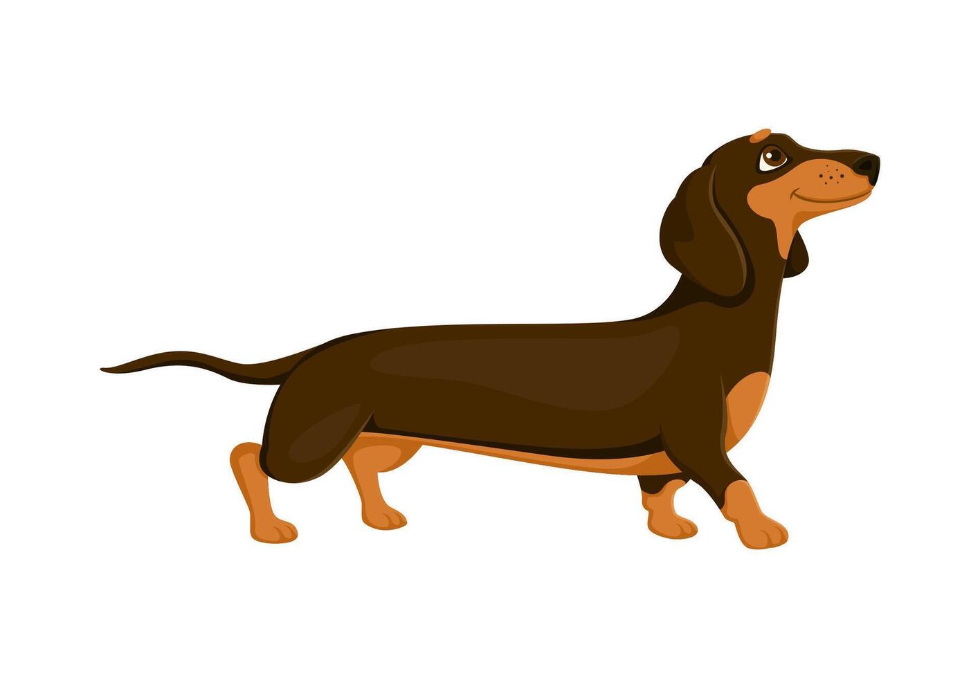 Cartoon dachshund dog or puppy with happy muzzle vector