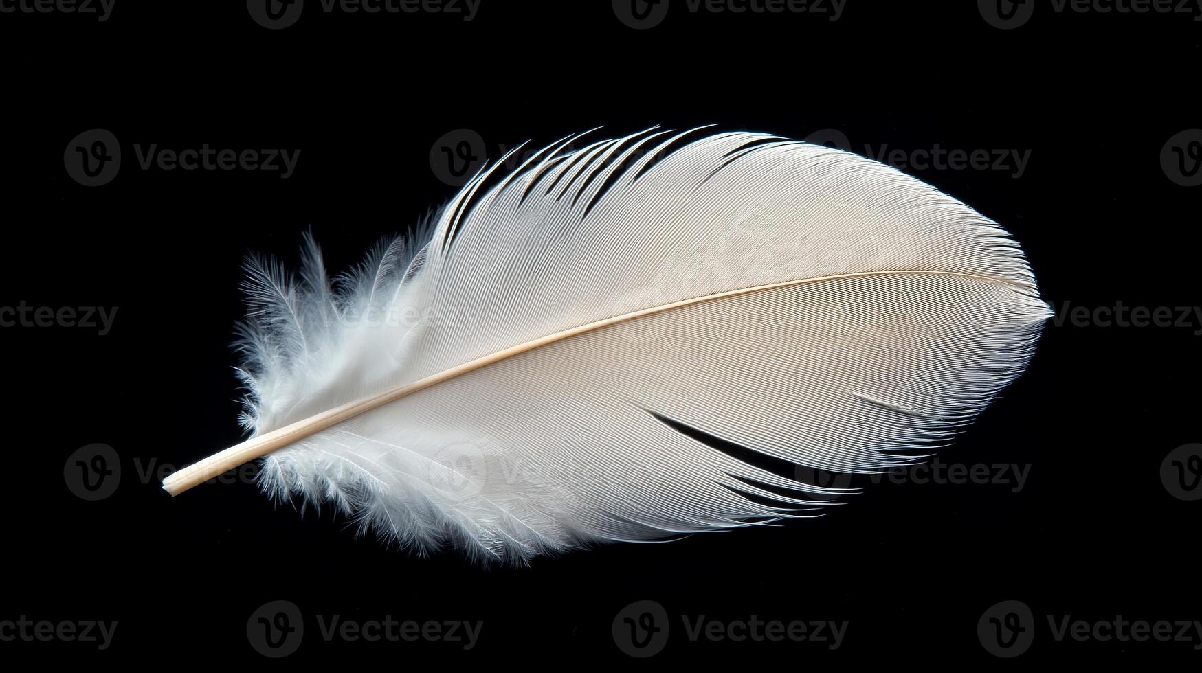 Feather is shown on a black background. The feather is white and has a brown tip. The feather is long and thin photo