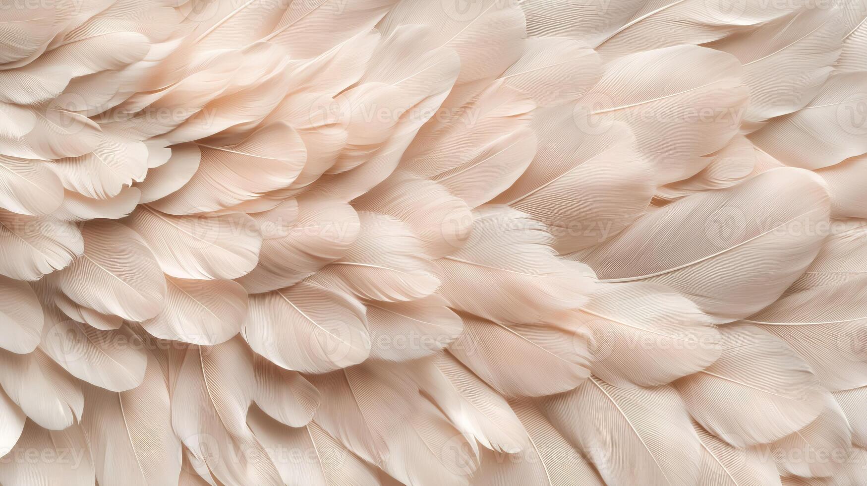 Close up of a feathery texture, with a focus on the intricate details of the feathers. Scene is serene and calming, as the viewer is drawn in by the delicate beauty of the feathers photo